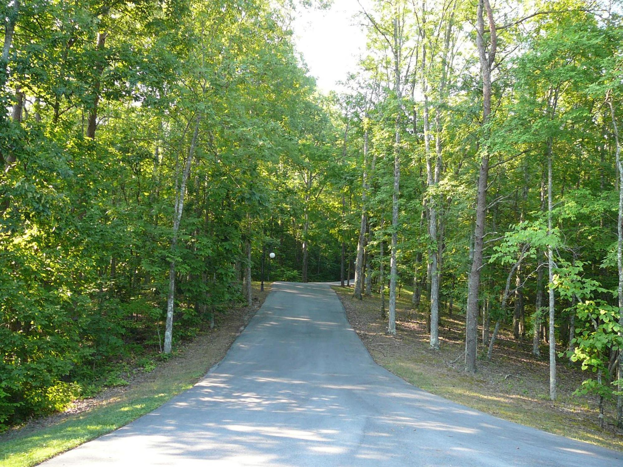 Smokie Mountain Lake House On Douglas Lake - 11 Bedrooms, 6 Bathrooms Sleeping 30 - Lakefront, Secluded, Private, Gated, Personal Boat Dock, Hot Tub , Theater Room, Games Room, Hot Tub, Indoor & Outdoor Kitchens Sevierville Exterior foto